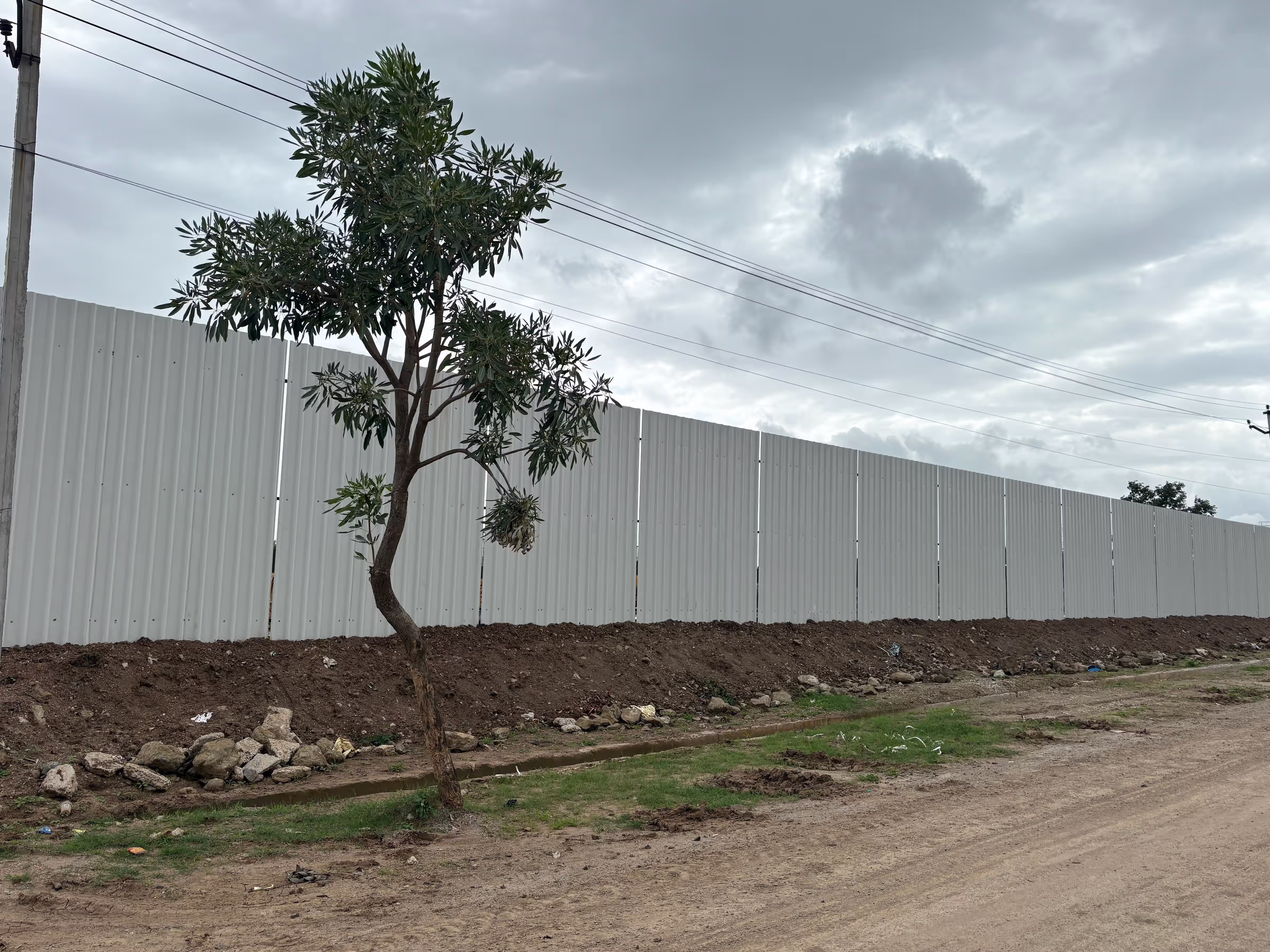 Serene Bilvani One image